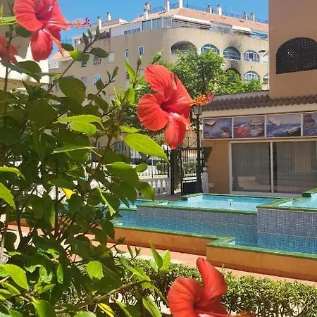 Jardin Botanico Granfield A124 Torrevieja
